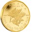 "Gold Maple Leaf" Series 2012 Five Gold Coin Premium Set - 1oz, 1/4 oz, 1/10 oz, 1/20 oz, 1/25 oz